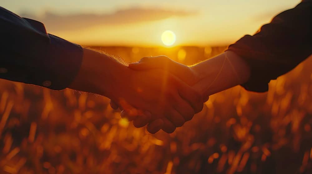 Primer plano de un apretón de manos firme al atardecer, un gesto que simboliza el acuerdo, la integridad y la confianza mutua, pilares fundamentales de un sólido código ético y de conducta empresarial.